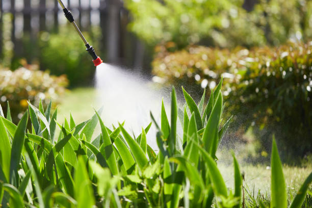 24/7 Emergency Mosquito Control experts in Knollwood, IL