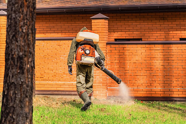 Top rated local Mosquito Control specialists in Knollwood, IL